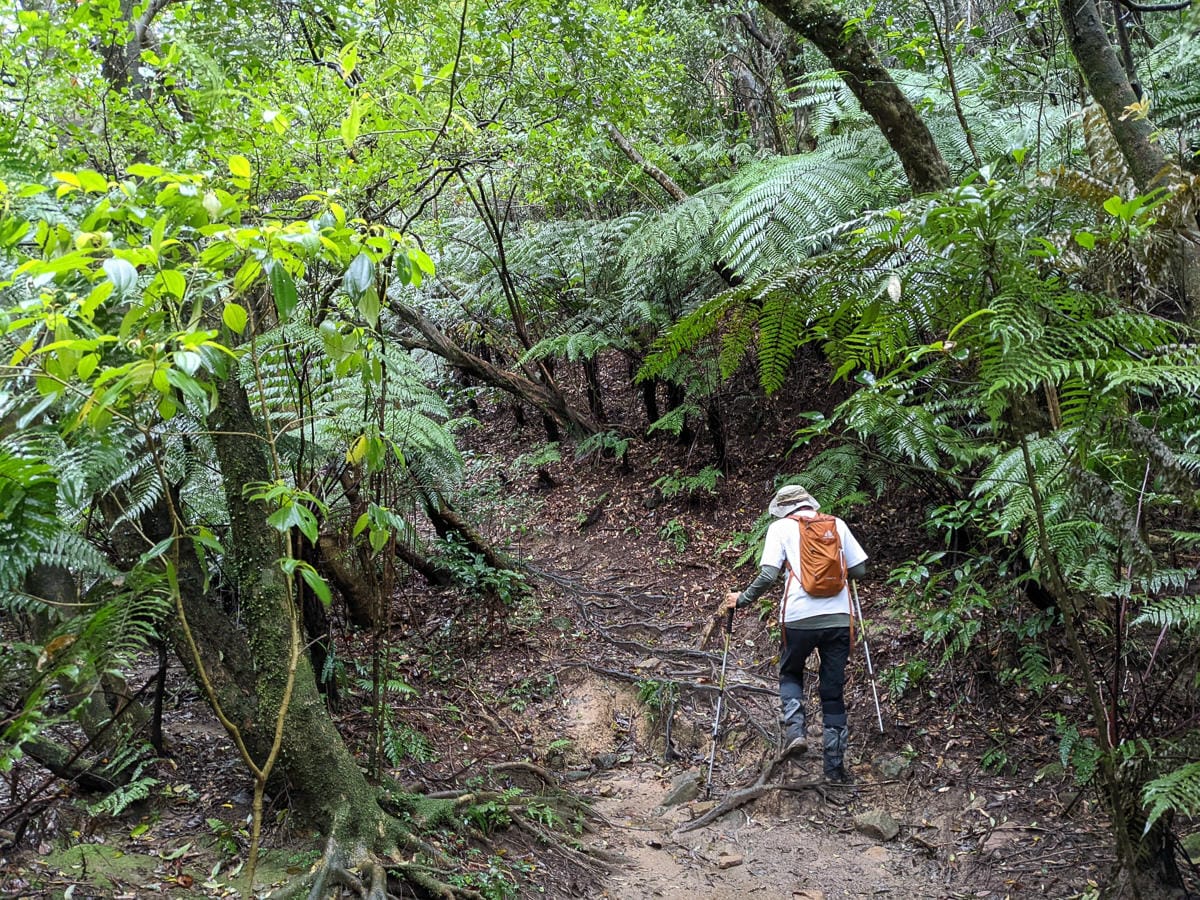 台北大縱走北四段 風櫃嘴到許願步道幸福廣場再接捷運大湖公園