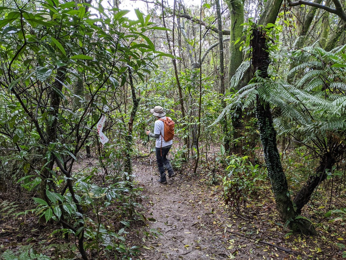 台北大縱走北四段 風櫃嘴到許願步道幸福廣場再接捷運大湖公園