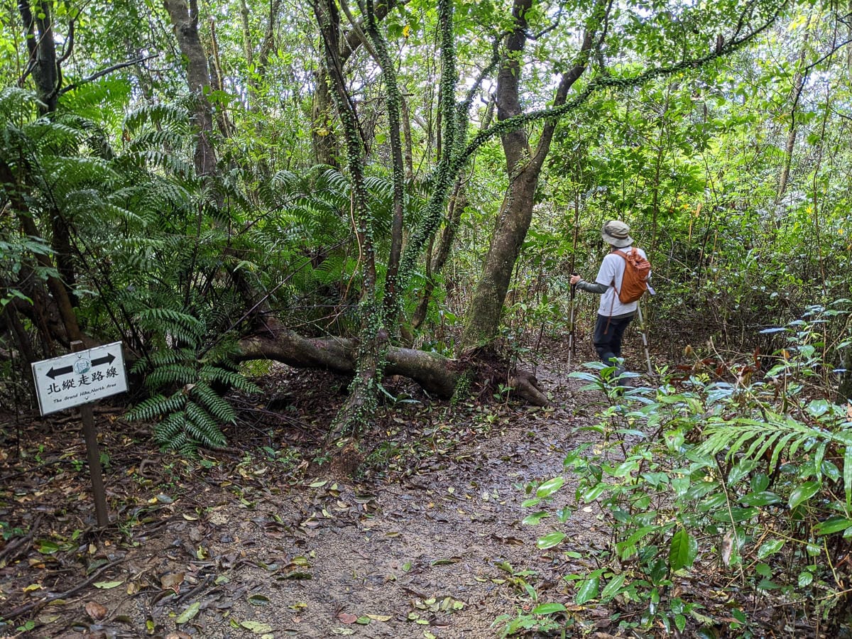台北大縱走北四段 風櫃嘴到許願步道幸福廣場再接捷運大湖公園