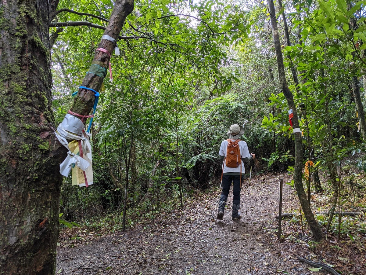 台北大縱走北四段 風櫃嘴到許願步道幸福廣場再接捷運大湖公園