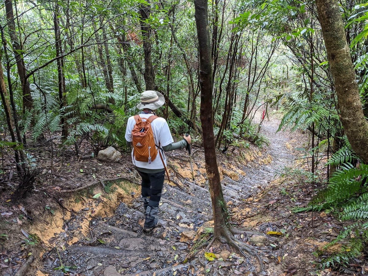 台北大縱走北四段 風櫃嘴到許願步道幸福廣場再接捷運大湖公園
