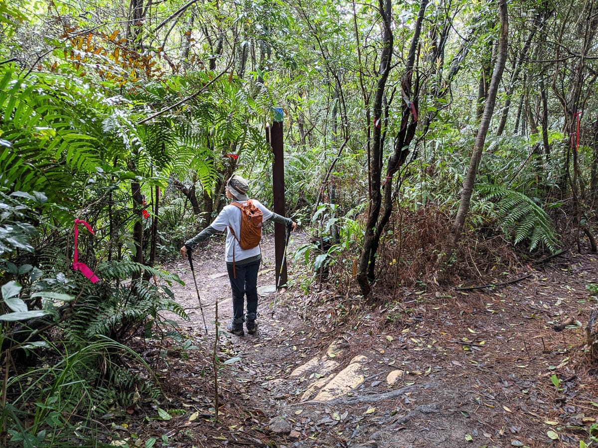 台北大縱走北四段 風櫃嘴到許願步道幸福廣場再接捷運大湖公園