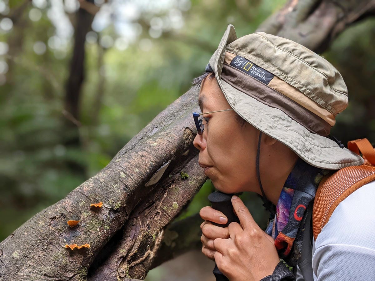 台北大縱走北四段 風櫃嘴到許願步道幸福廣場再接捷運大湖公園