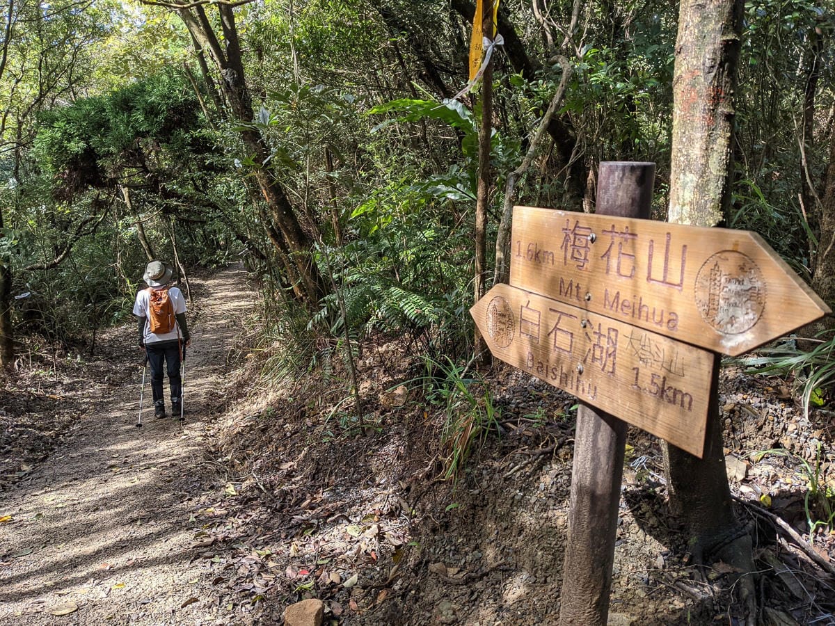 台北大縱走北四段 風櫃嘴到許願步道幸福廣場再接捷運大湖公園