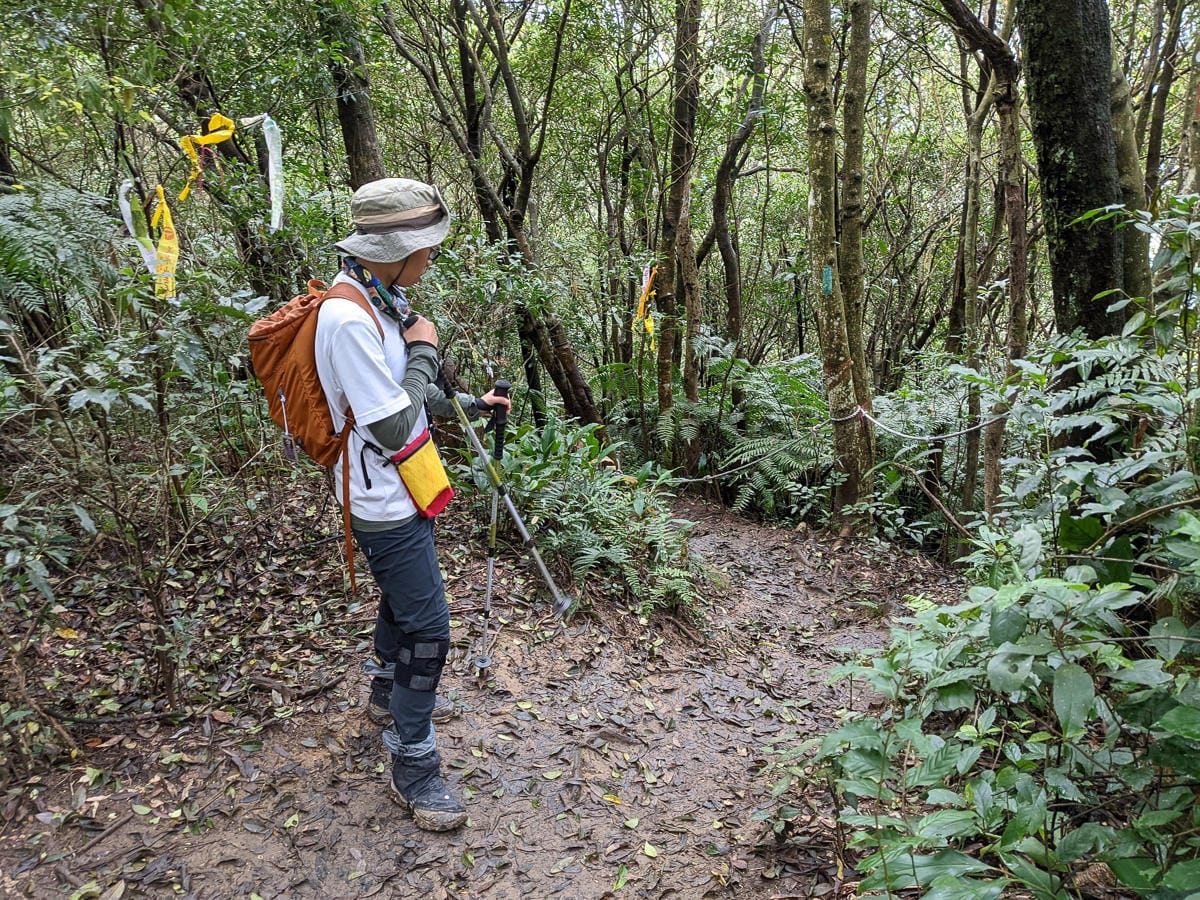 台北大縱走北四段 風櫃嘴到許願步道幸福廣場再接捷運大湖公園