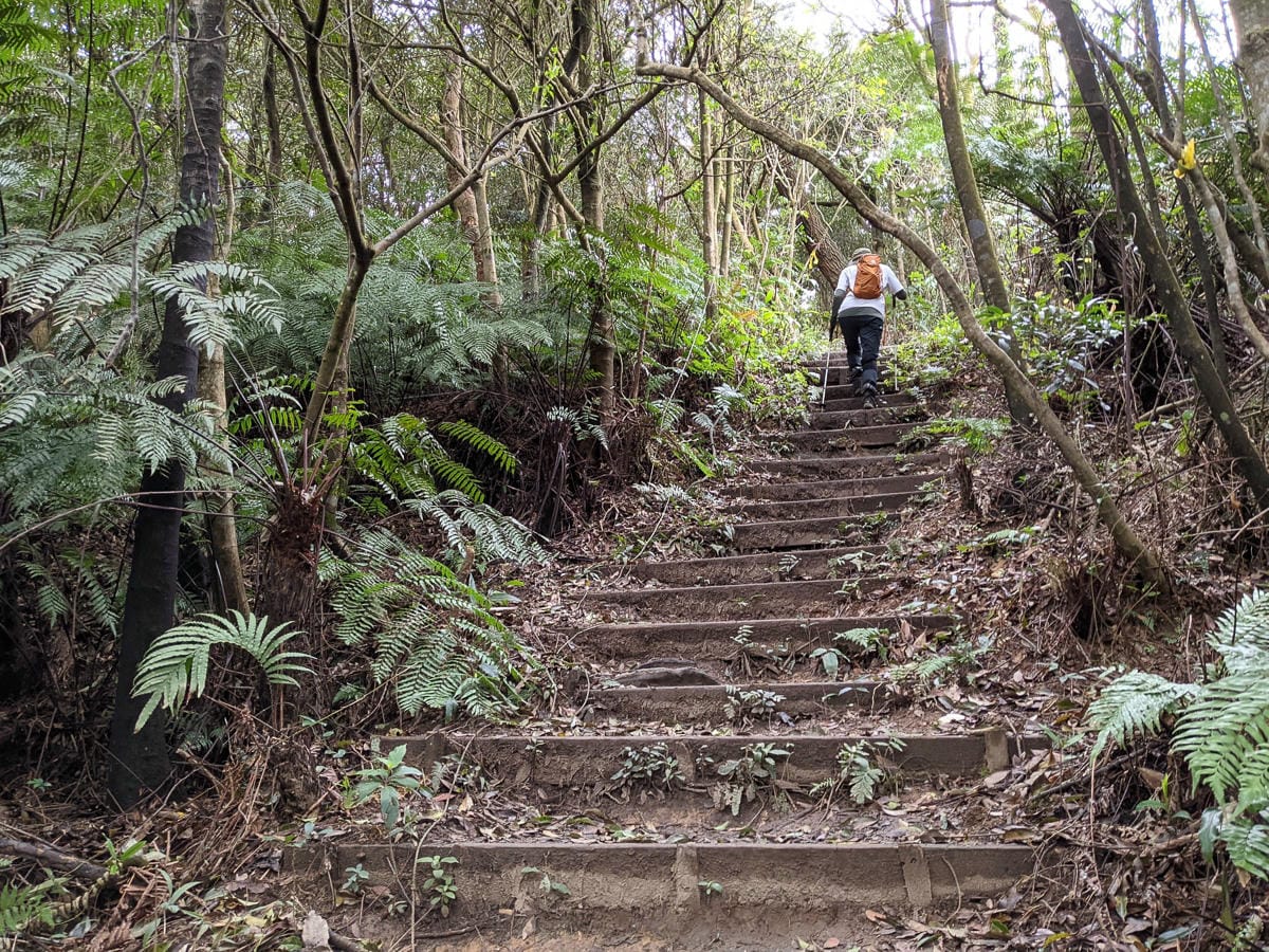台北大縱走北四段 風櫃嘴到許願步道幸福廣場再接捷運大湖公園