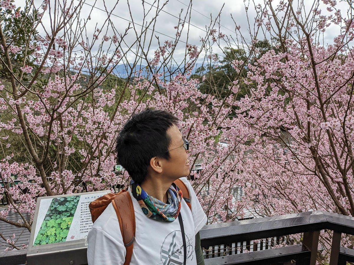 台北大縱走北四段 風櫃嘴到許願步道幸福廣場再接捷運大湖公園