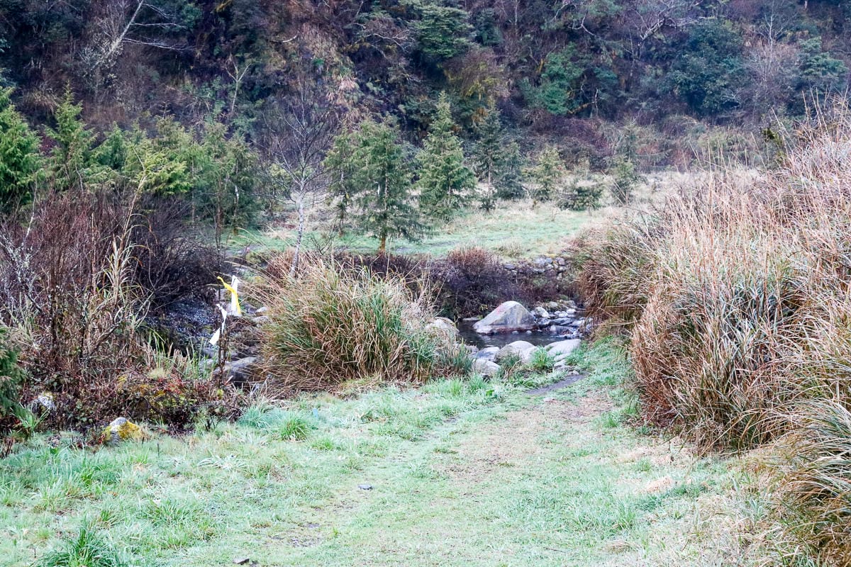 羅馬縱走百岳訓練場 極品中級山羅葉尾山～馬武佐野郡山