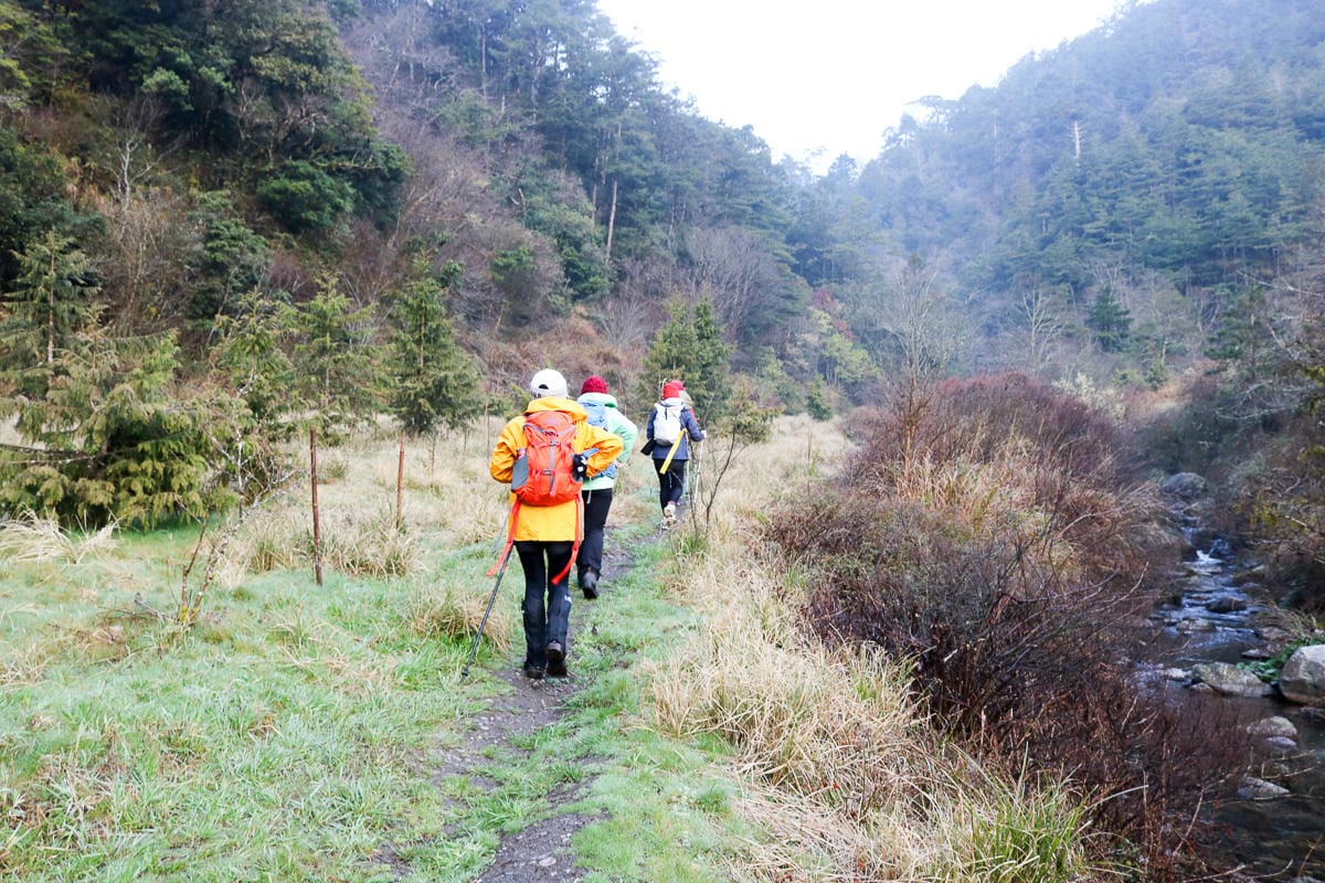 羅馬縱走百岳訓練場 極品中級山羅葉尾山～馬武佐野郡山