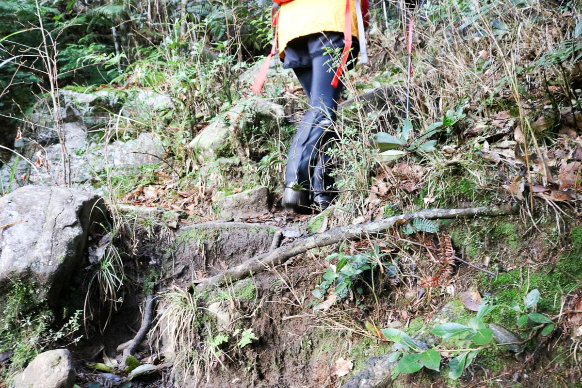 羅馬縱走百岳訓練場 極品中級山羅葉尾山～馬武佐野郡山
