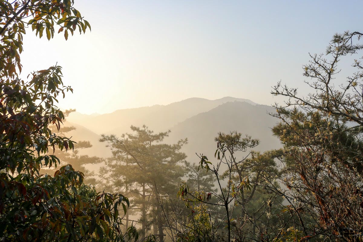 羅馬縱走百岳訓練場 極品中級山羅葉尾山～馬武佐野郡山