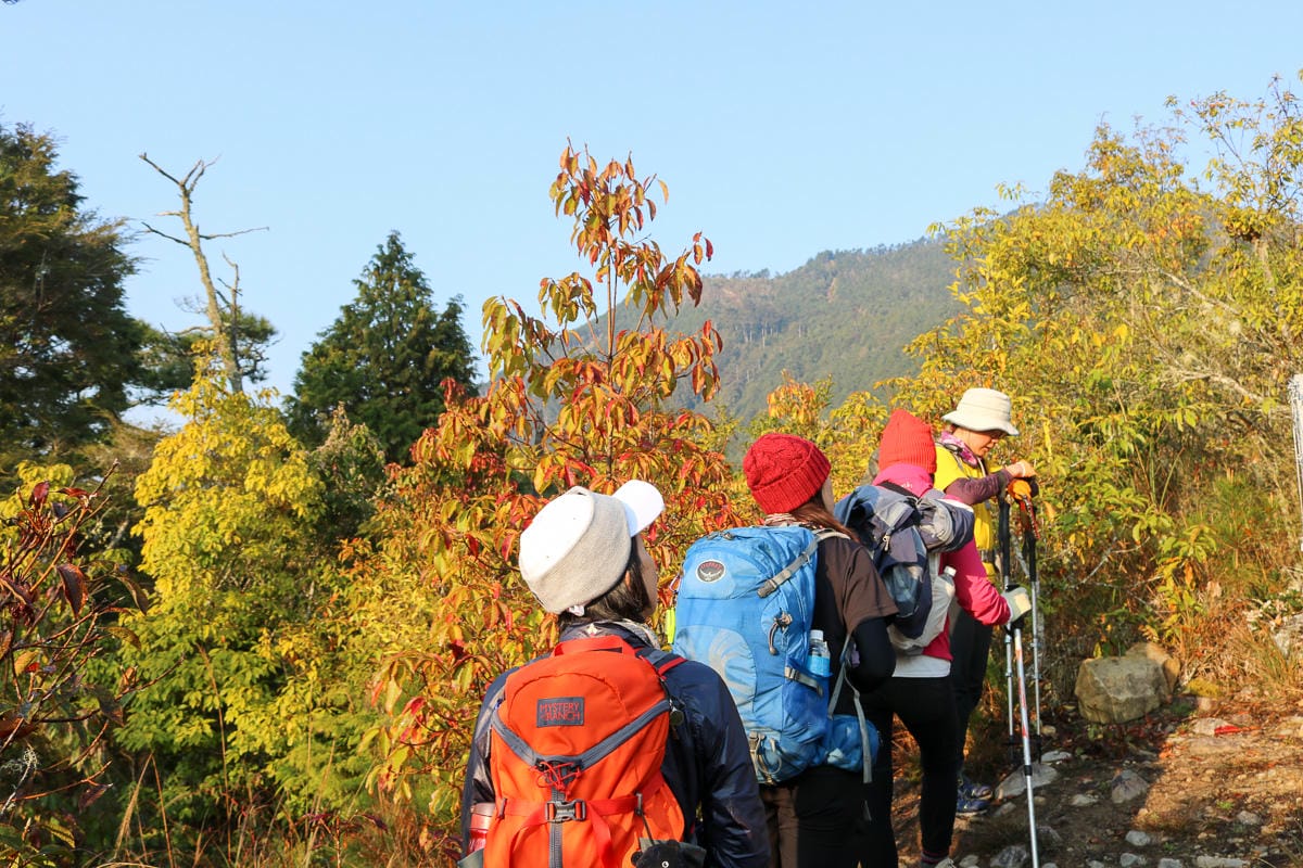 羅馬縱走百岳訓練場 極品中級山羅葉尾山～馬武佐野郡山