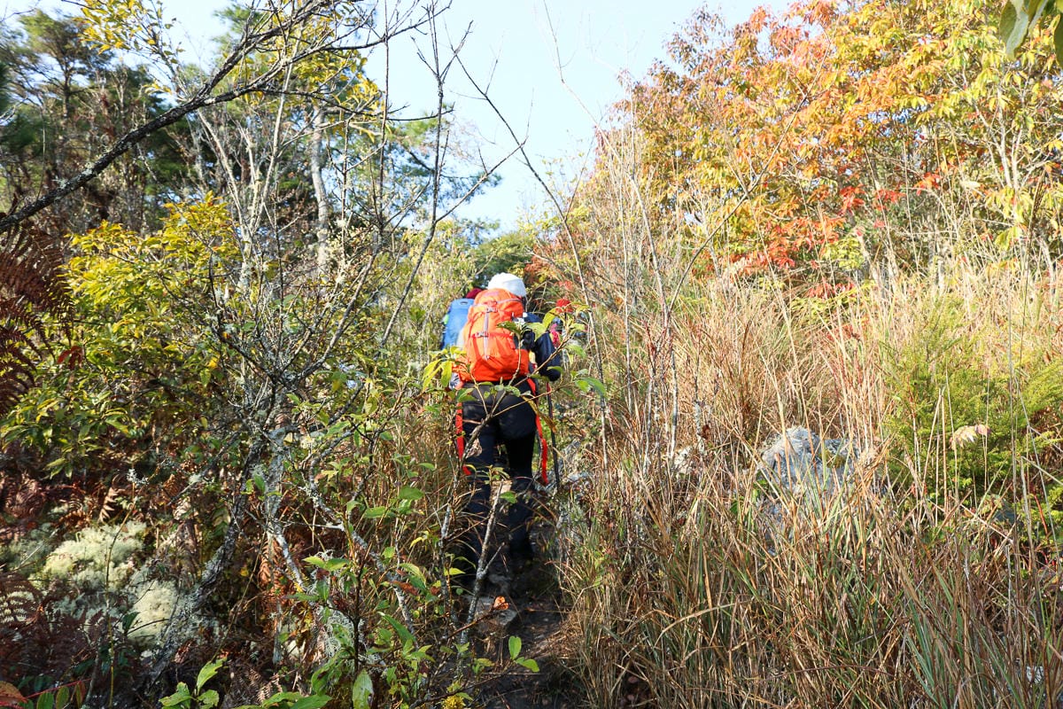 羅馬縱走百岳訓練場 極品中級山羅葉尾山～馬武佐野郡山