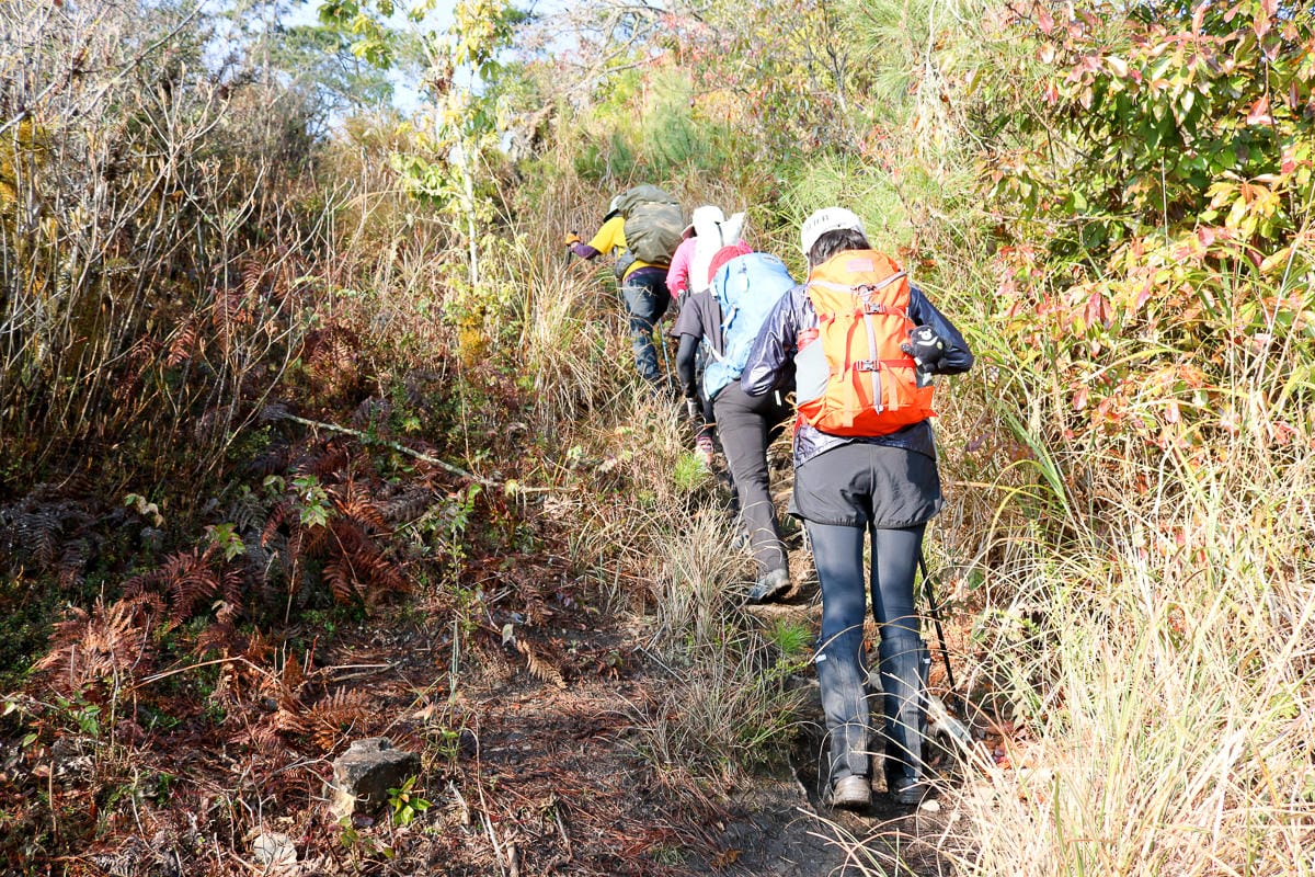 羅馬縱走百岳訓練場 極品中級山羅葉尾山～馬武佐野郡山