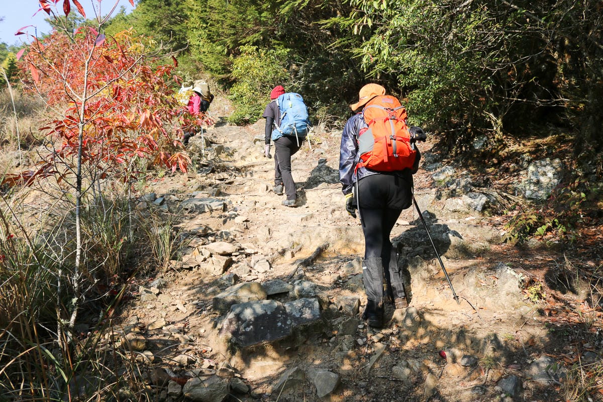 羅馬縱走百岳訓練場 極品中級山羅葉尾山～馬武佐野郡山