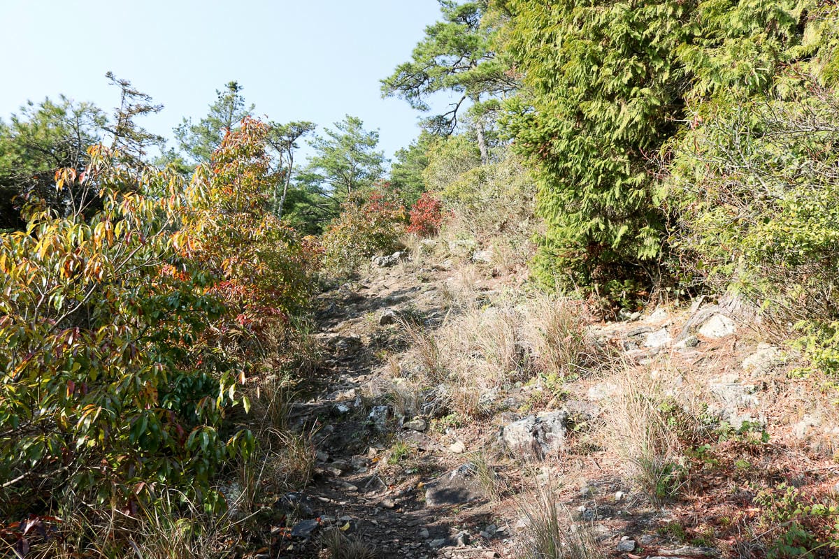羅馬縱走百岳訓練場 極品中級山羅葉尾山～馬武佐野郡山