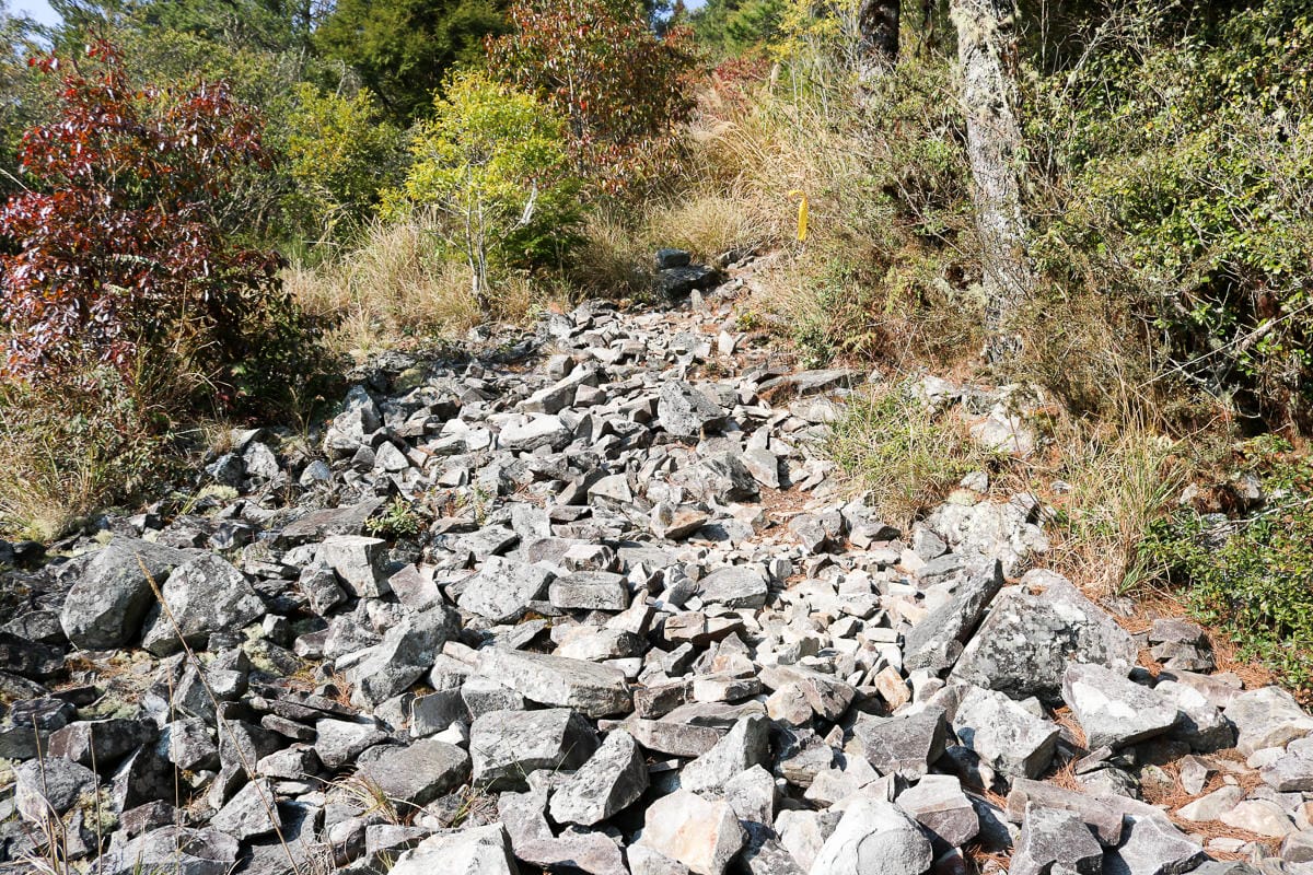 羅馬縱走百岳訓練場 極品中級山羅葉尾山～馬武佐野郡山