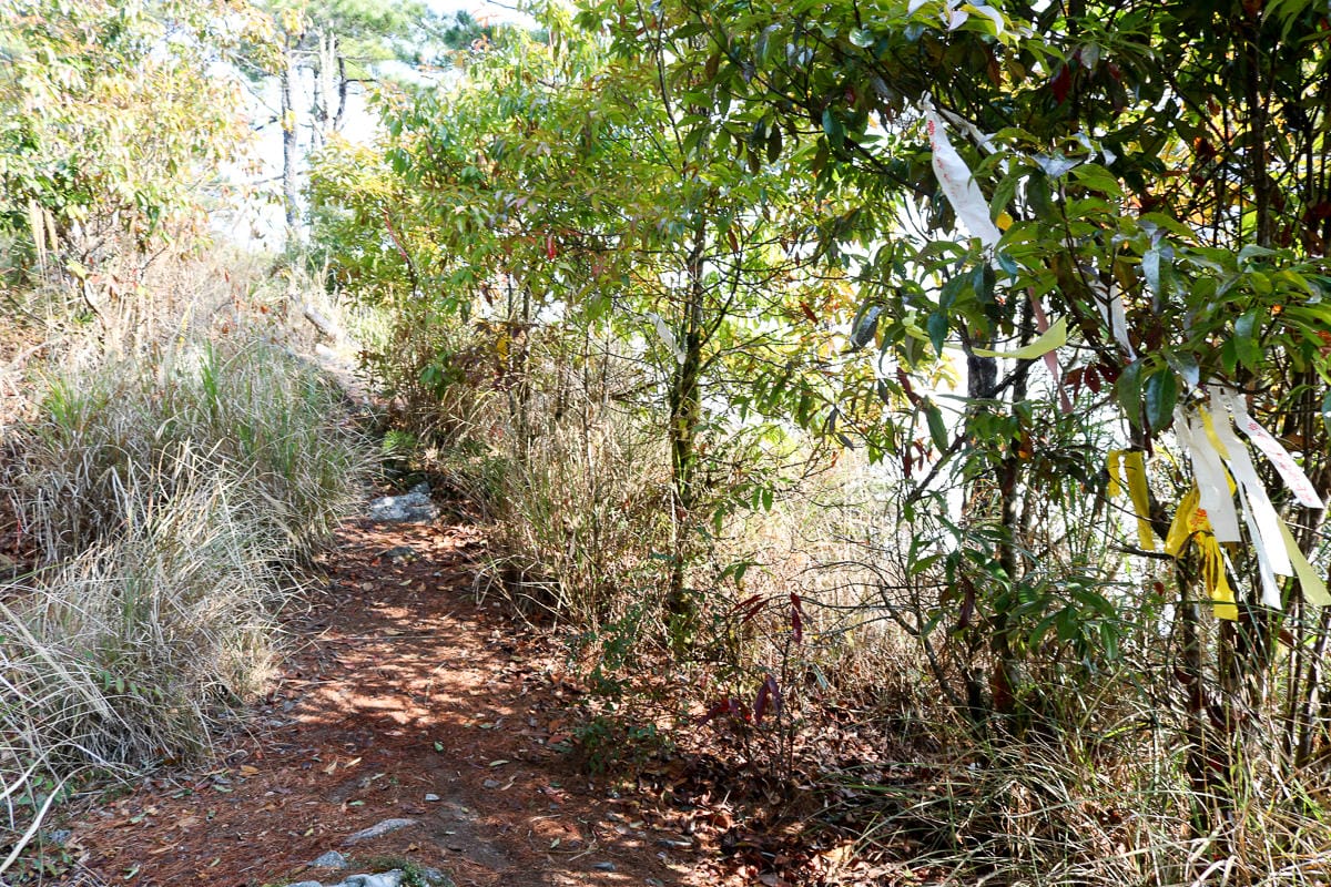 羅馬縱走百岳訓練場 極品中級山羅葉尾山～馬武佐野郡山