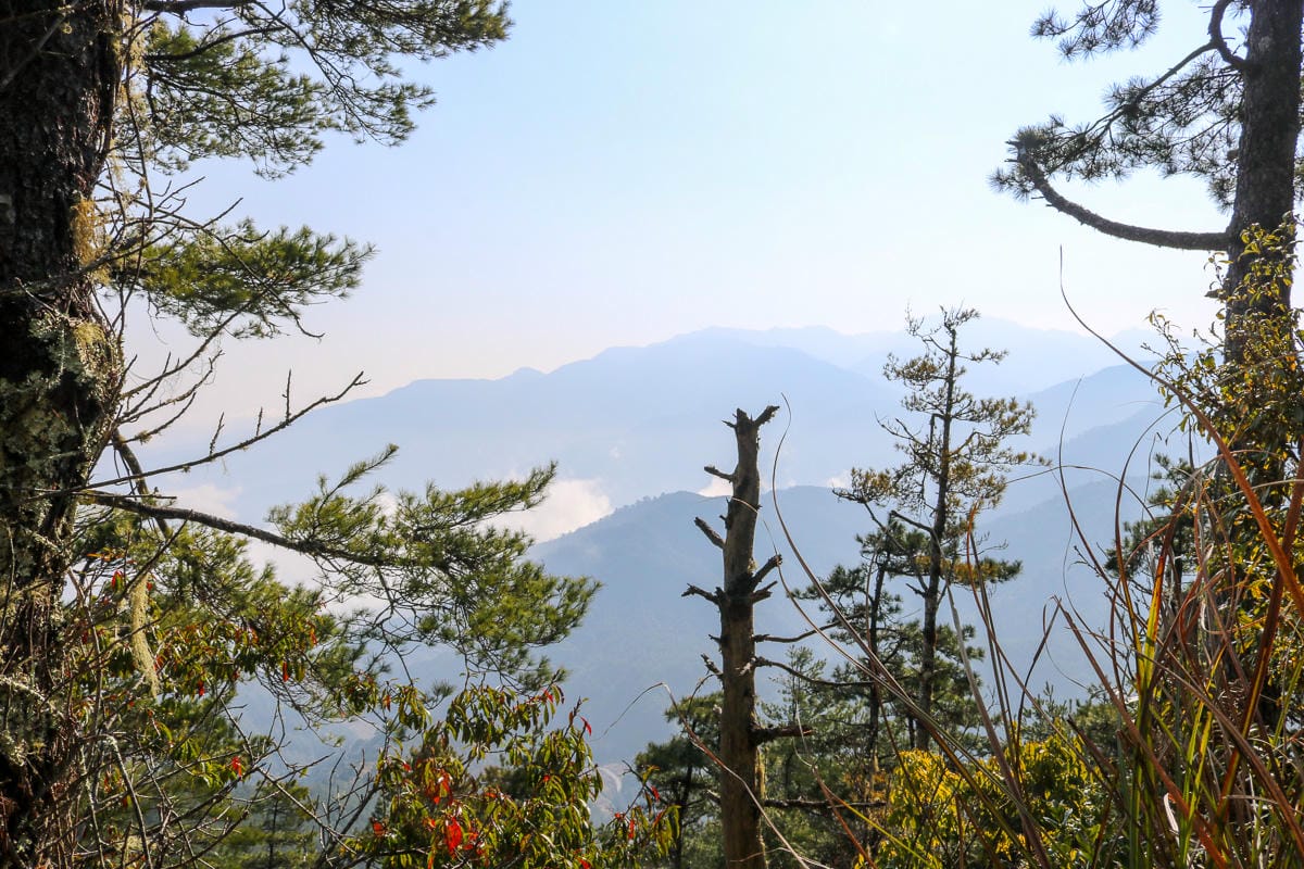 羅馬縱走百岳訓練場 極品中級山羅葉尾山～馬武佐野郡山