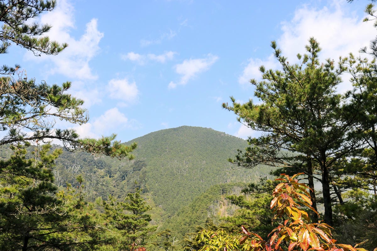 羅馬縱走百岳訓練場 極品中級山羅葉尾山～馬武佐野郡山
