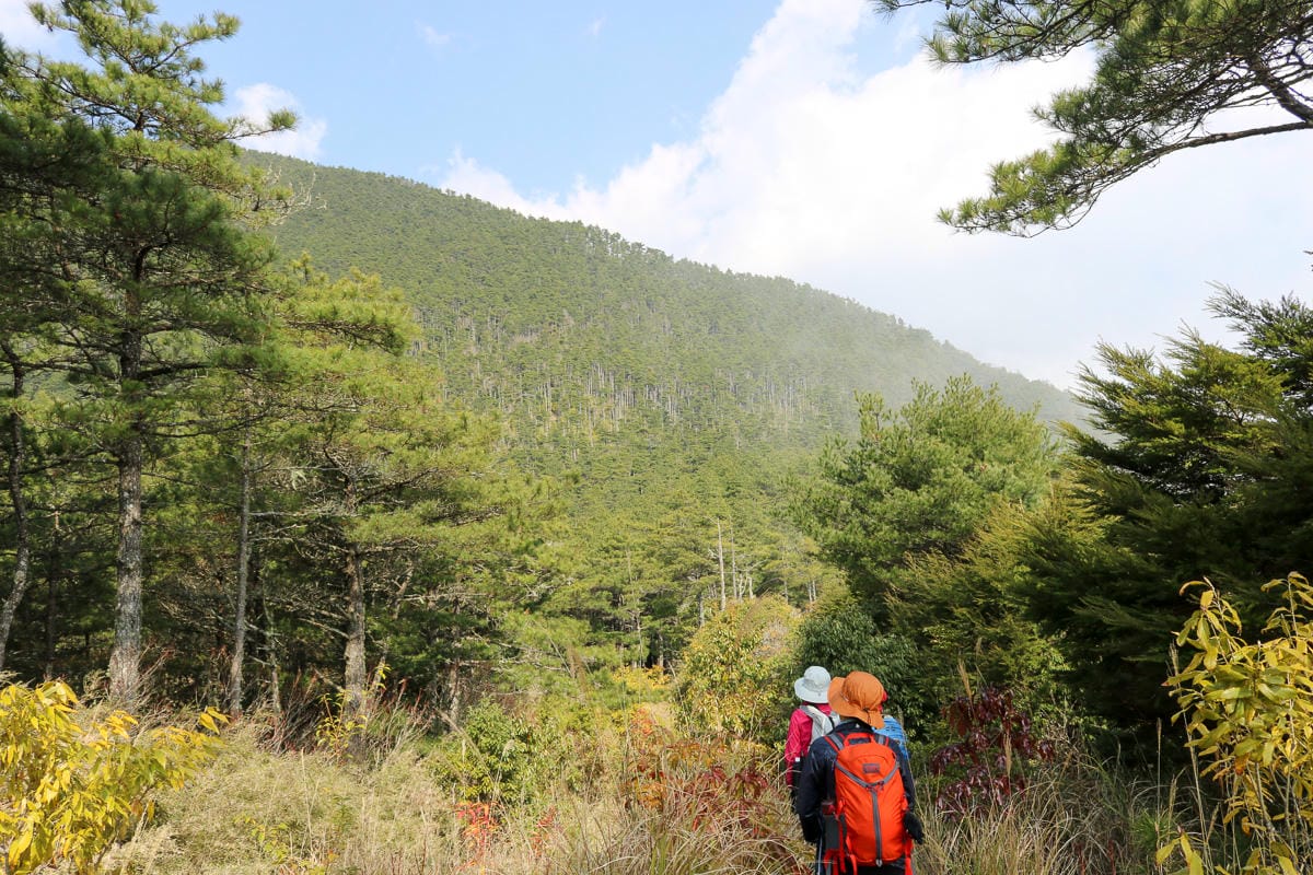 羅馬縱走百岳訓練場 極品中級山羅葉尾山～馬武佐野郡山