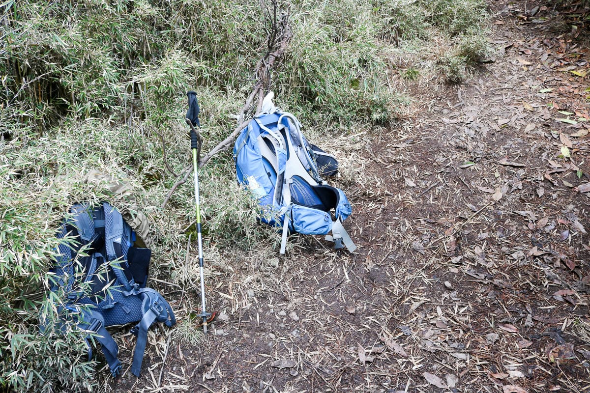 羅馬縱走百岳訓練場 極品中級山羅葉尾山～馬武佐野郡山