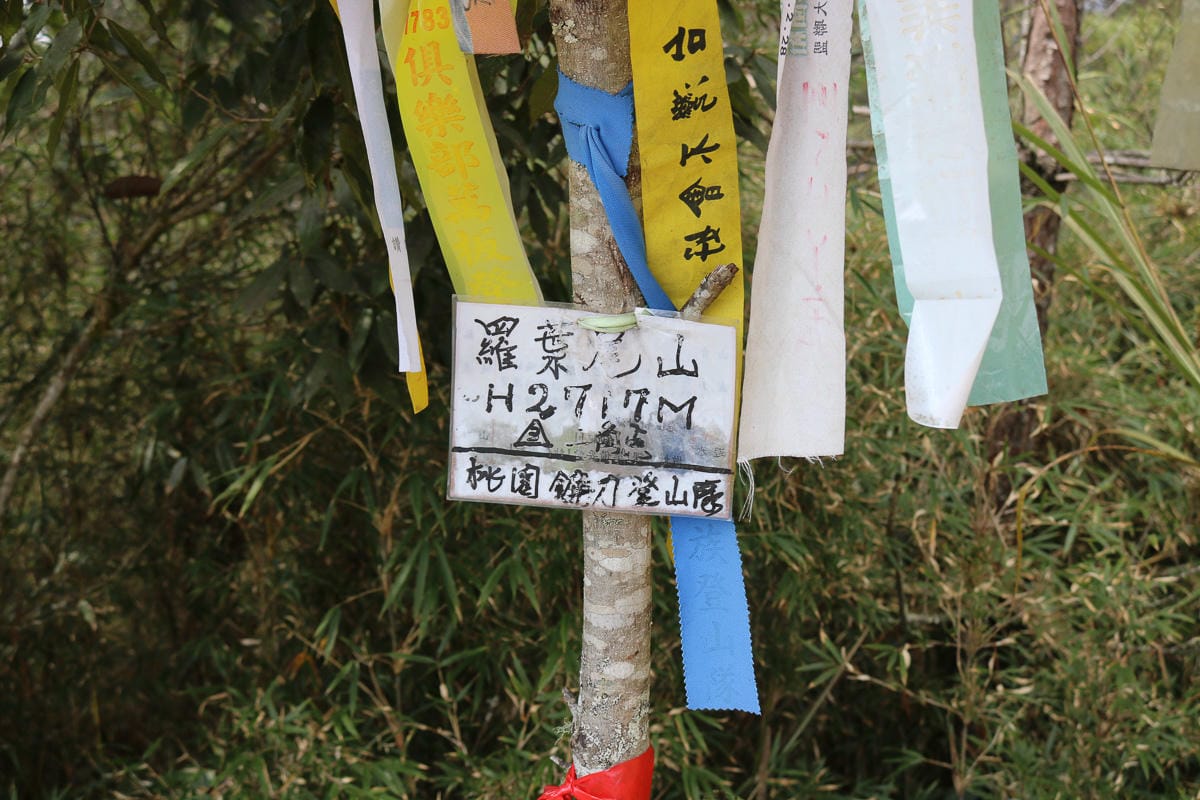 羅馬縱走百岳訓練場 極品中級山羅葉尾山～馬武佐野郡山