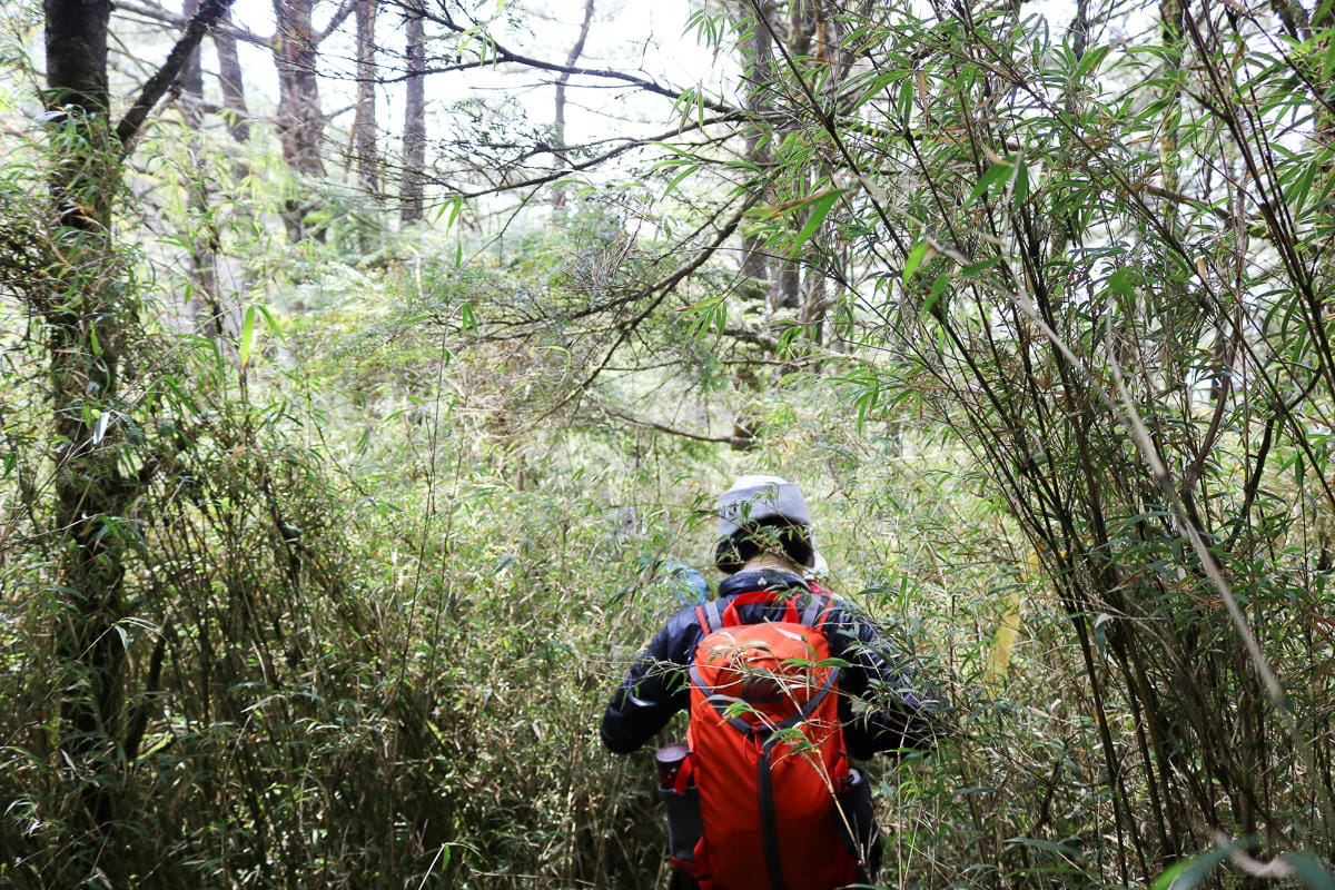 羅馬縱走百岳訓練場 極品中級山羅葉尾山～馬武佐野郡山