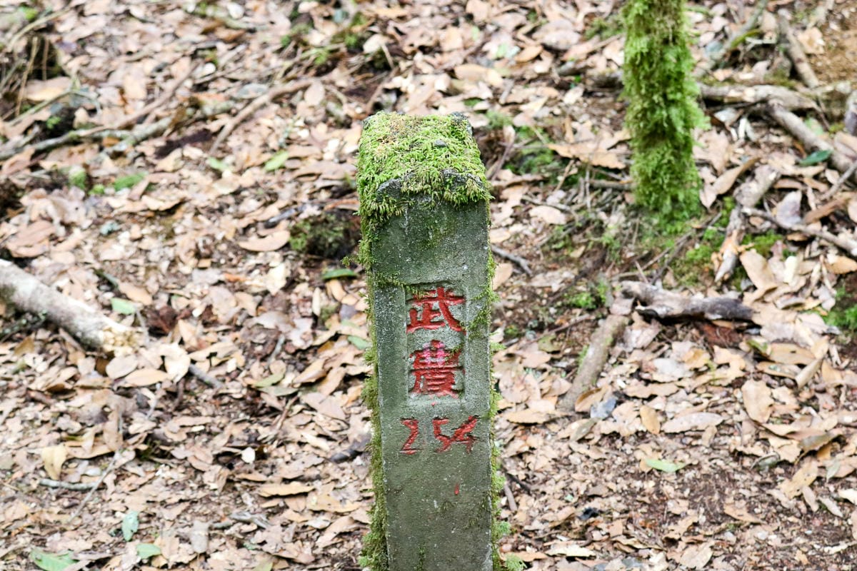 羅馬縱走百岳訓練場 極品中級山羅葉尾山～馬武佐野郡山