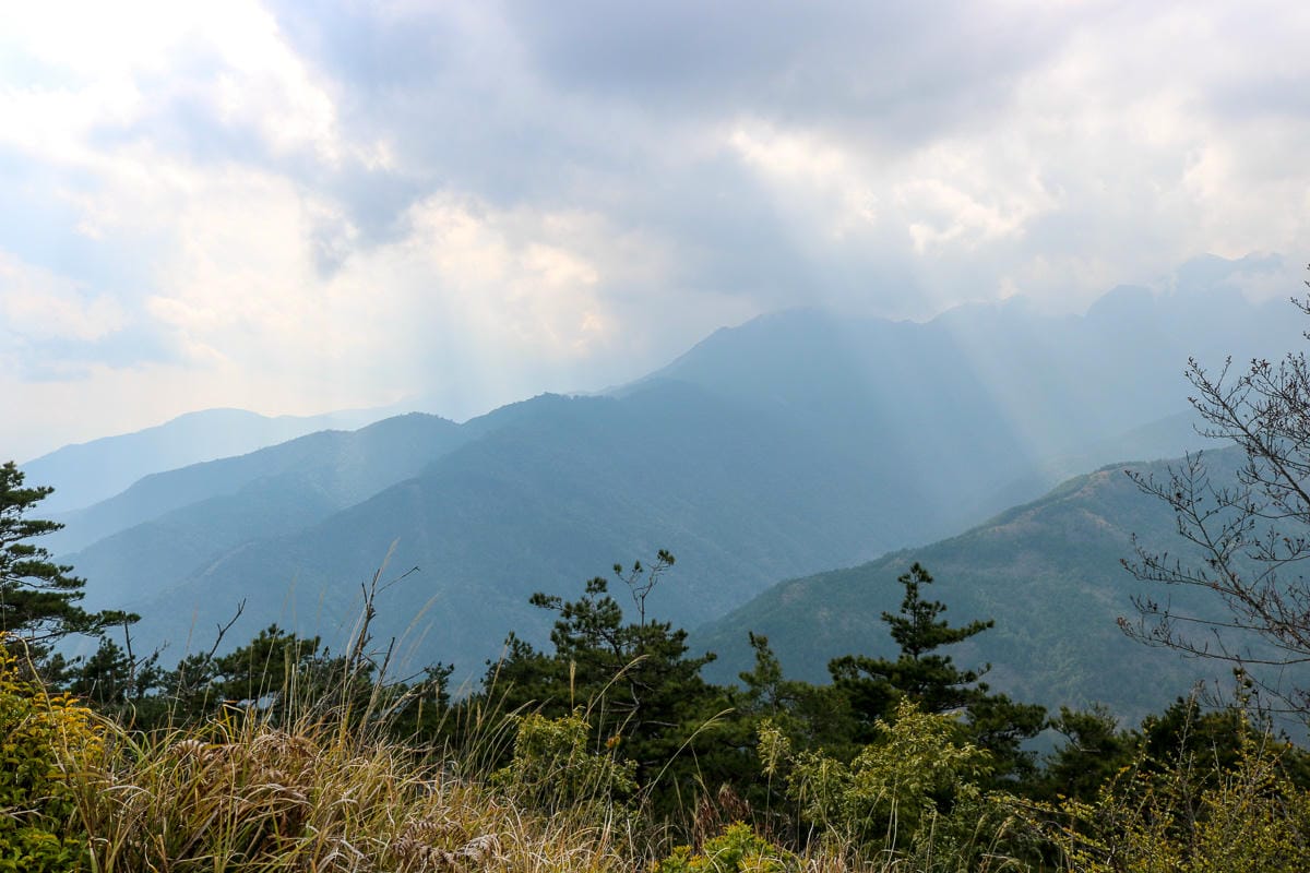 羅馬縱走百岳訓練場 極品中級山羅葉尾山～馬武佐野郡山