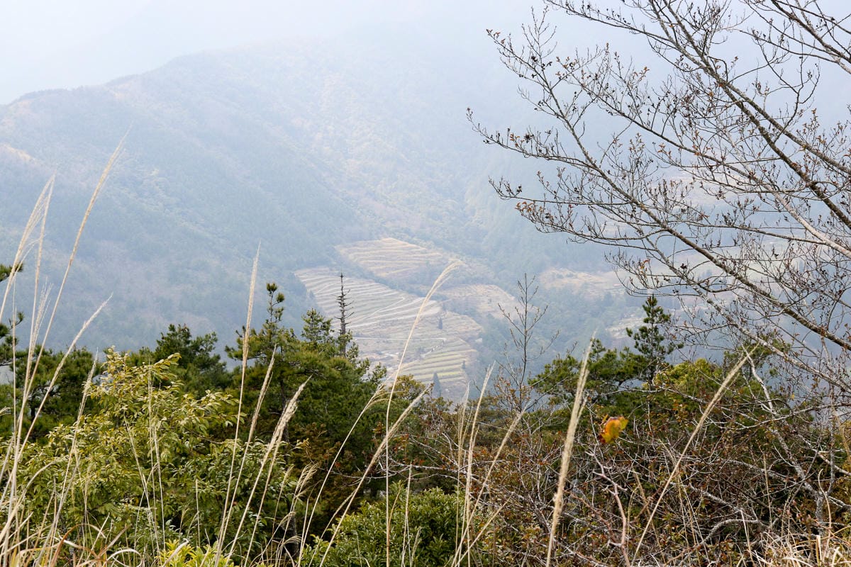 羅馬縱走百岳訓練場 極品中級山羅葉尾山～馬武佐野郡山