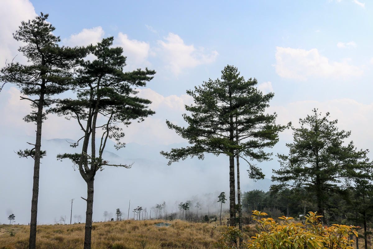 羅馬縱走百岳訓練場 極品中級山羅葉尾山～馬武佐野郡山
