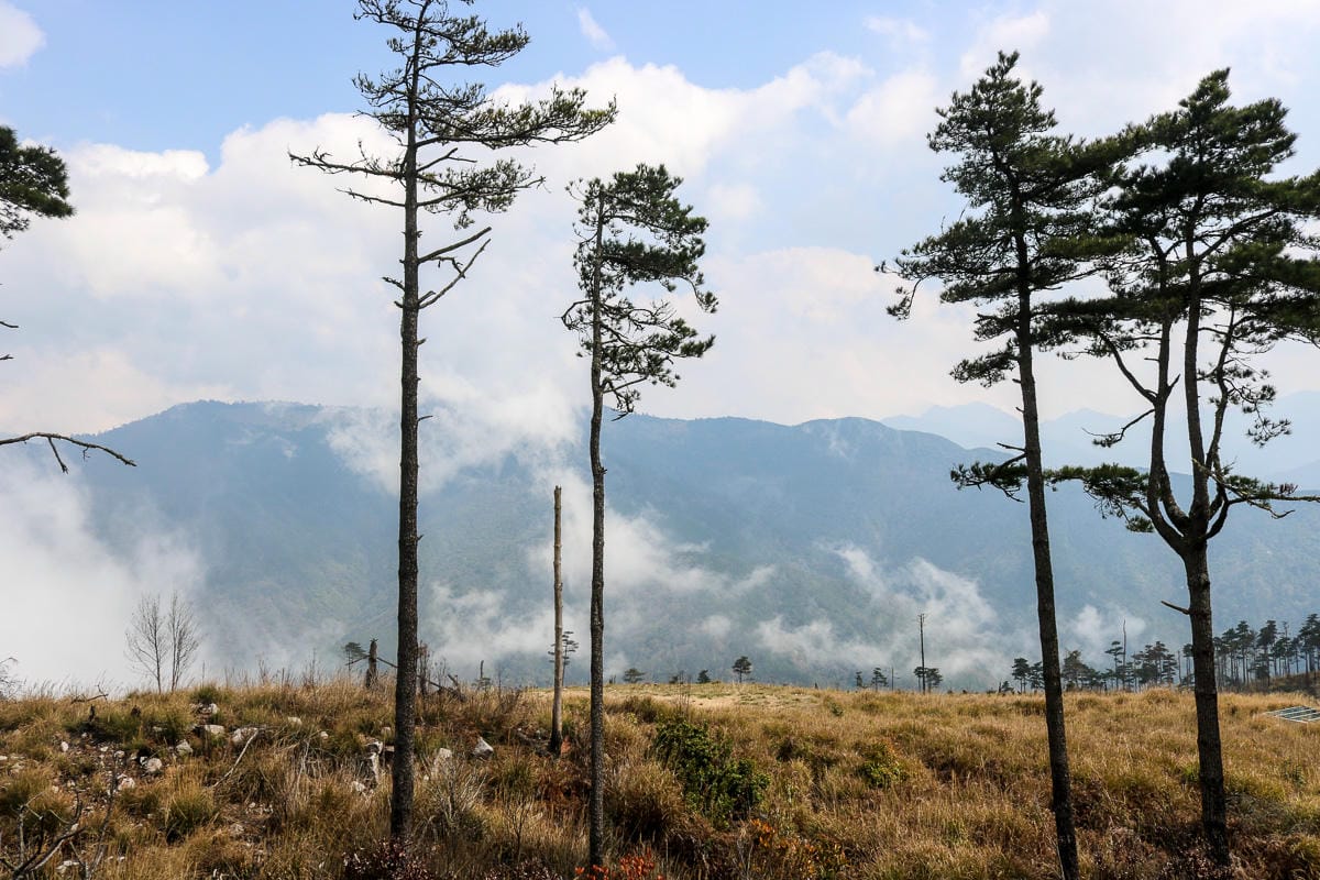 羅馬縱走百岳訓練場 極品中級山羅葉尾山～馬武佐野郡山