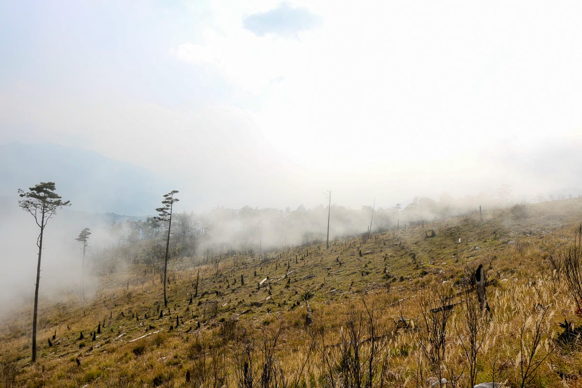 羅馬縱走百岳訓練場 極品中級山羅葉尾山～馬武佐野郡山