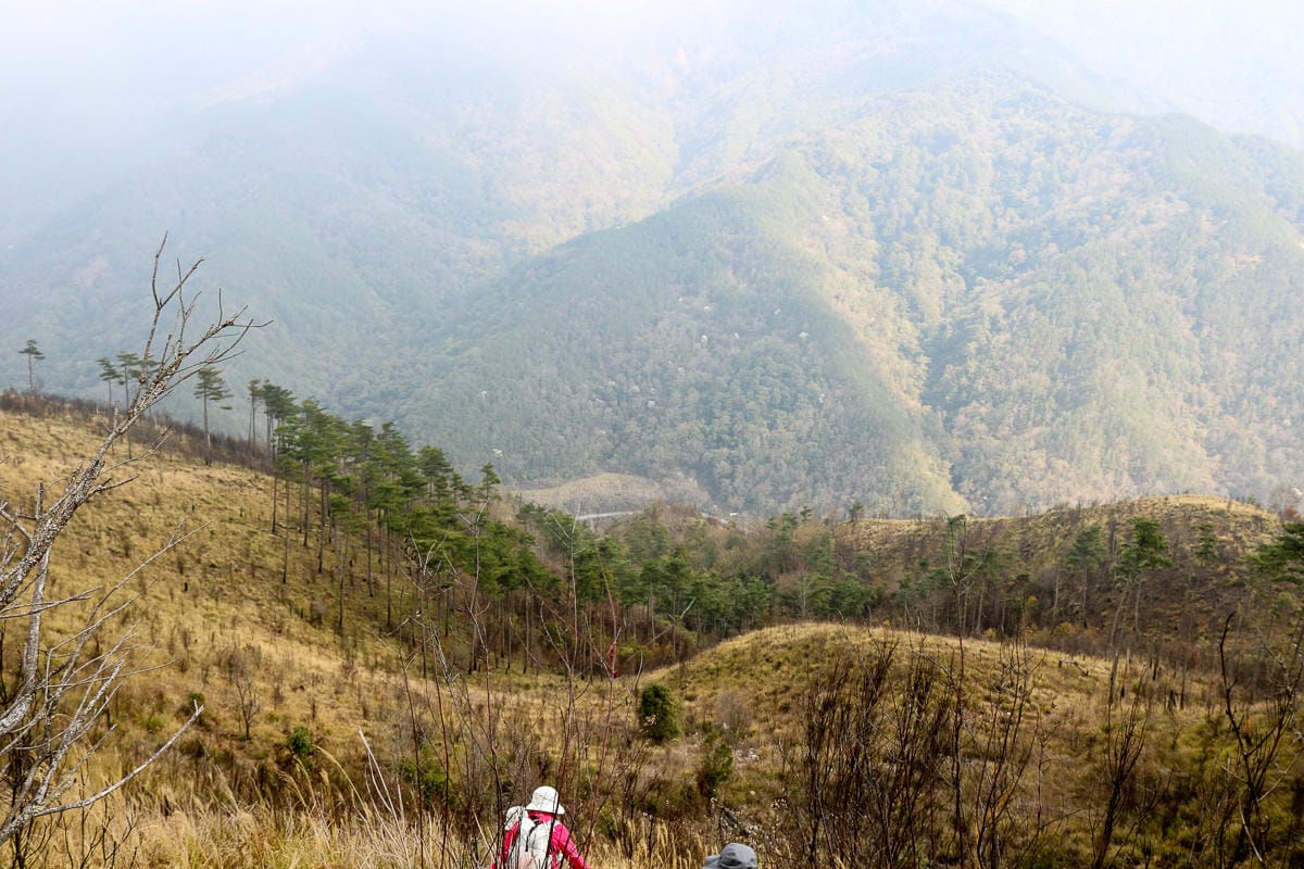 羅馬縱走百岳訓練場 極品中級山羅葉尾山～馬武佐野郡山