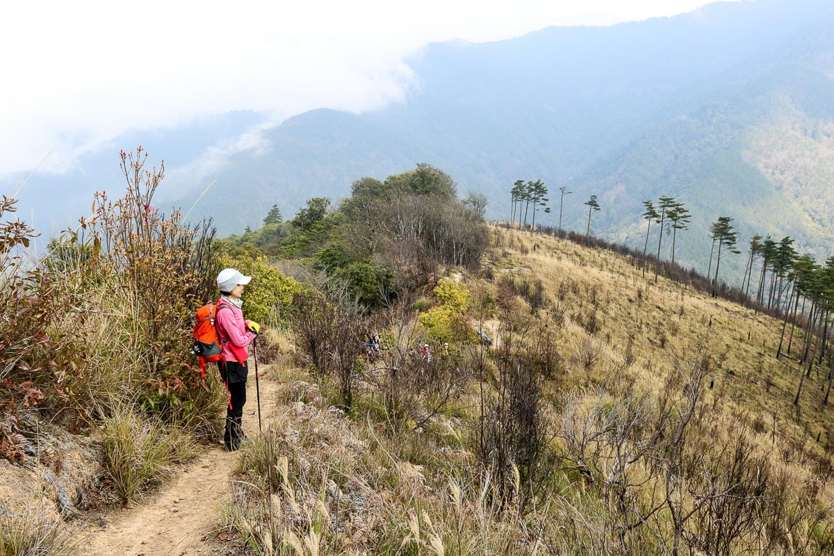 羅馬縱走百岳訓練場 極品中級山羅葉尾山～馬武佐野郡山