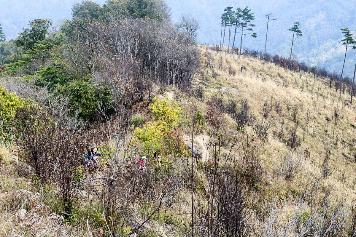 羅馬縱走百岳訓練場 極品中級山羅葉尾山～馬武佐野郡山
