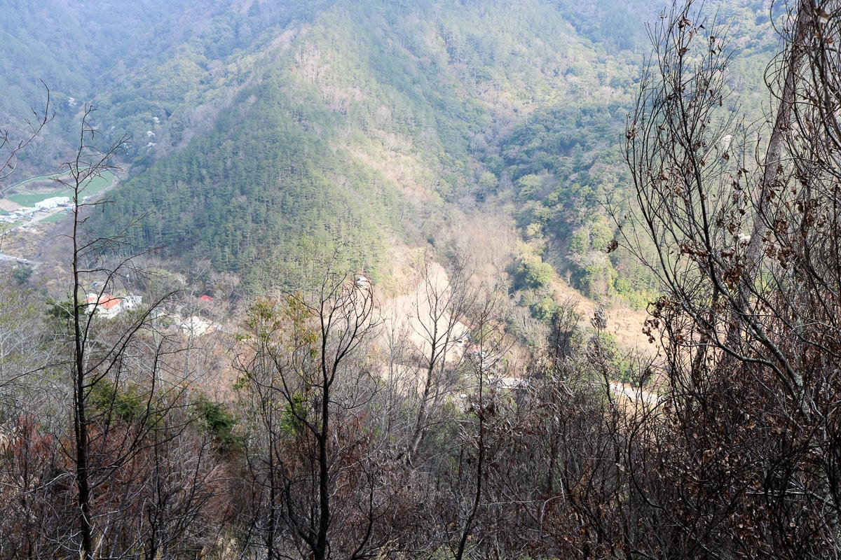 羅馬縱走百岳訓練場 極品中級山羅葉尾山～馬武佐野郡山