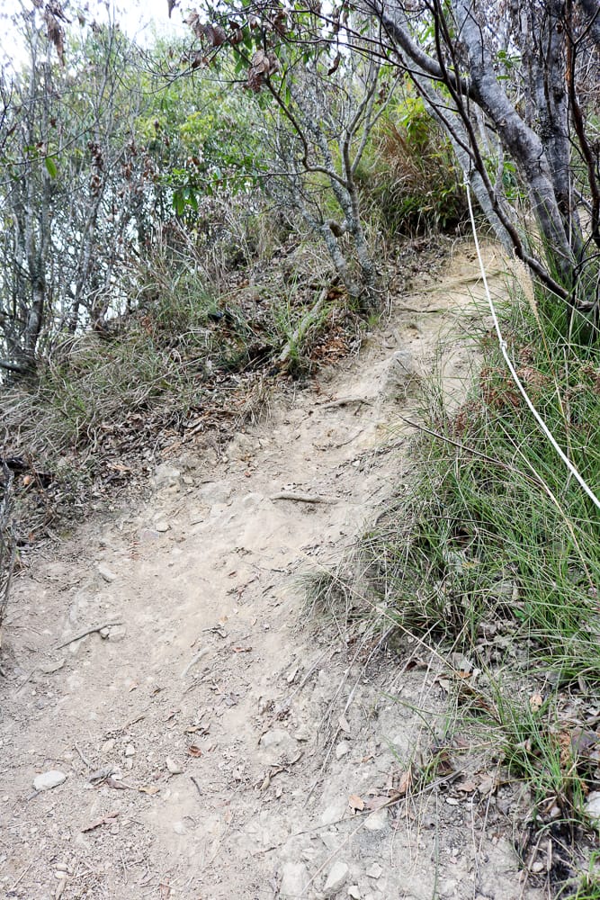 羅馬縱走百岳訓練場 極品中級山羅葉尾山～馬武佐野郡山