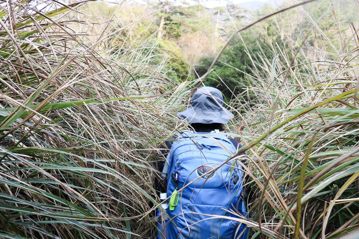 羅馬縱走百岳訓練場 極品中級山羅葉尾山～馬武佐野郡山