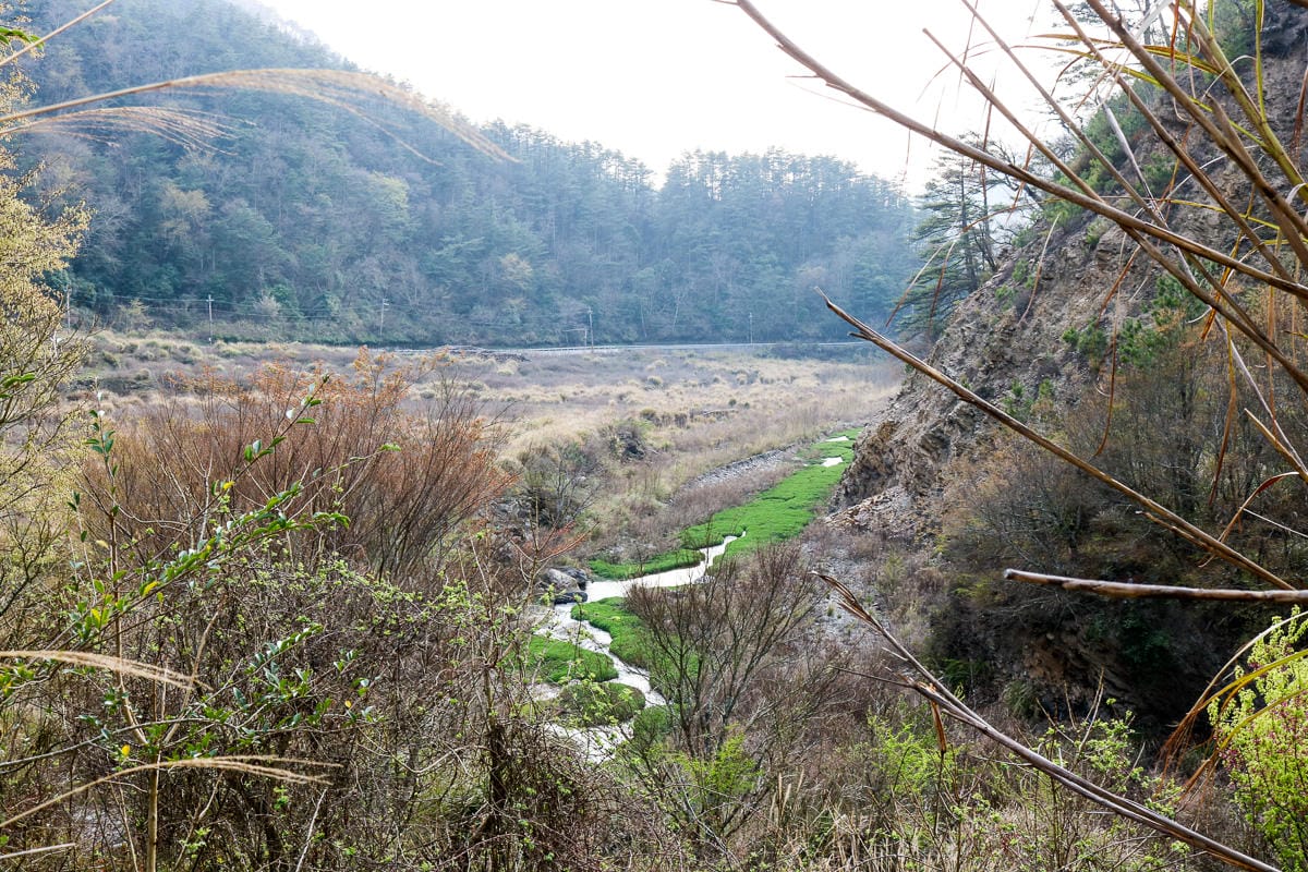 羅馬縱走百岳訓練場 極品中級山羅葉尾山～馬武佐野郡山
