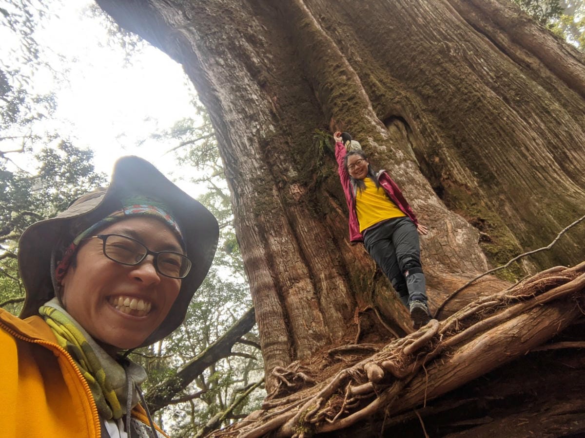 羅馬縱走百岳訓練場 極品中級山羅葉尾山～馬武佐野郡山