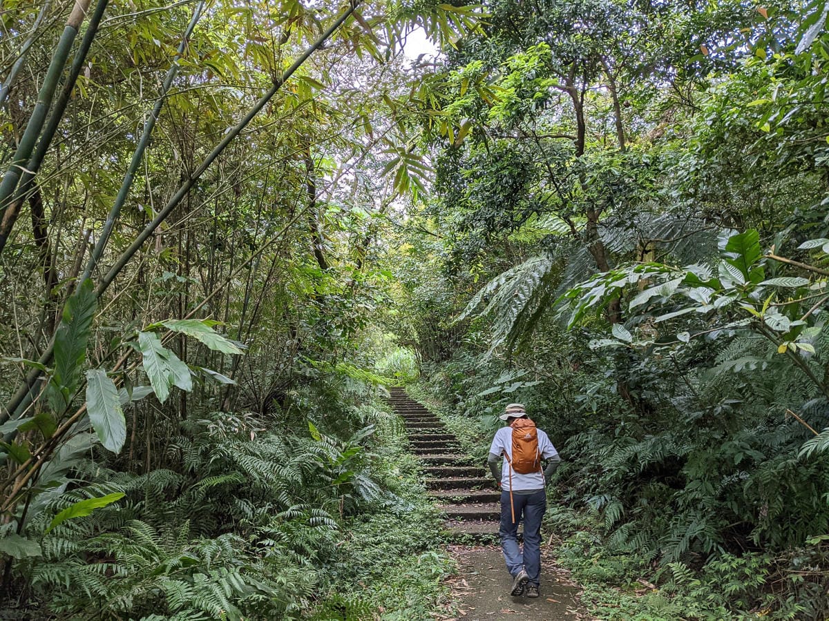 木柵猴山岳登山步道新手可以嗎？拉繩攀爬找雙扇蕨