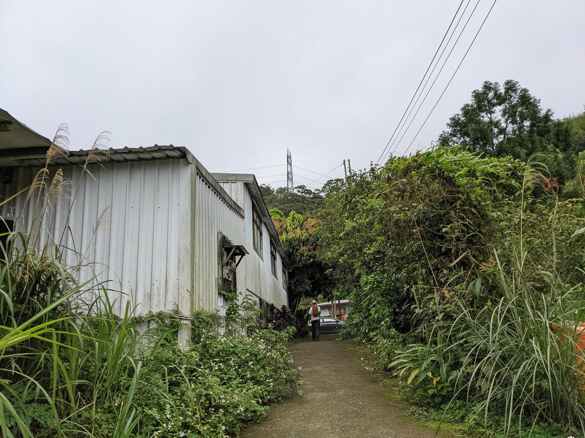 木柵猴山岳登山步道新手可以嗎？拉繩攀爬找雙扇蕨