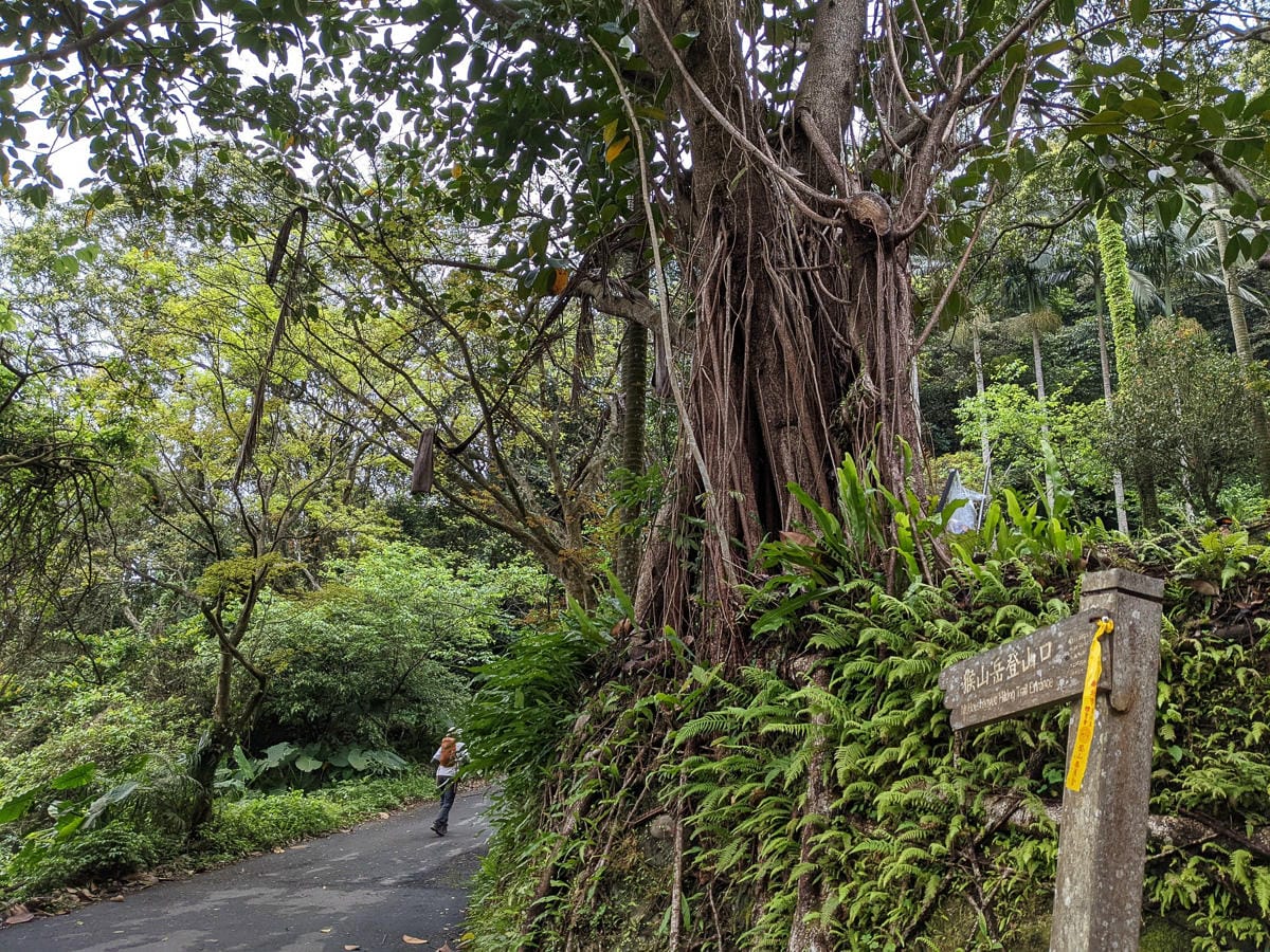 木柵猴山岳登山步道新手可以嗎？拉繩攀爬找雙扇蕨
