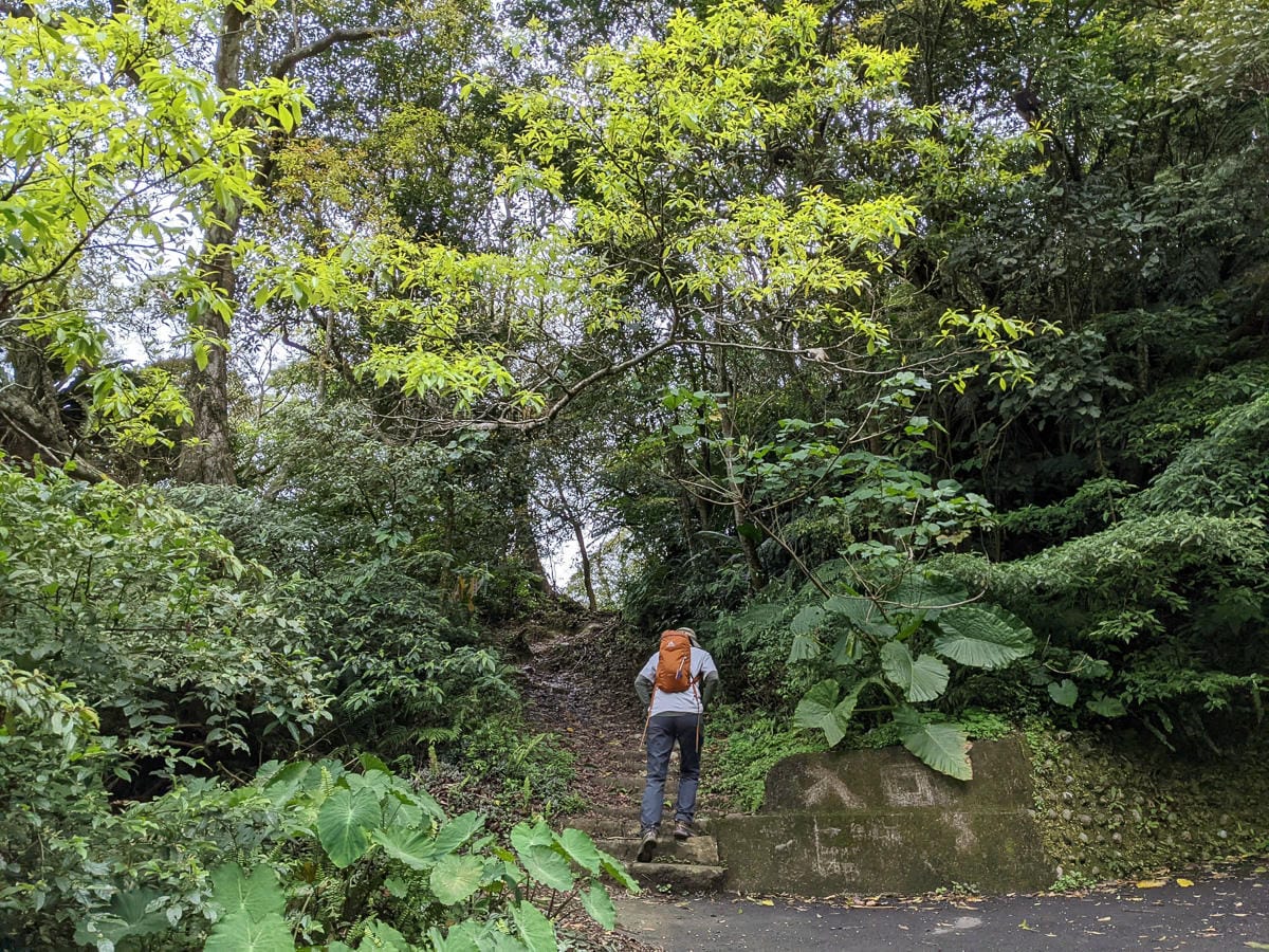 木柵猴山岳登山步道新手可以嗎？拉繩攀爬找雙扇蕨