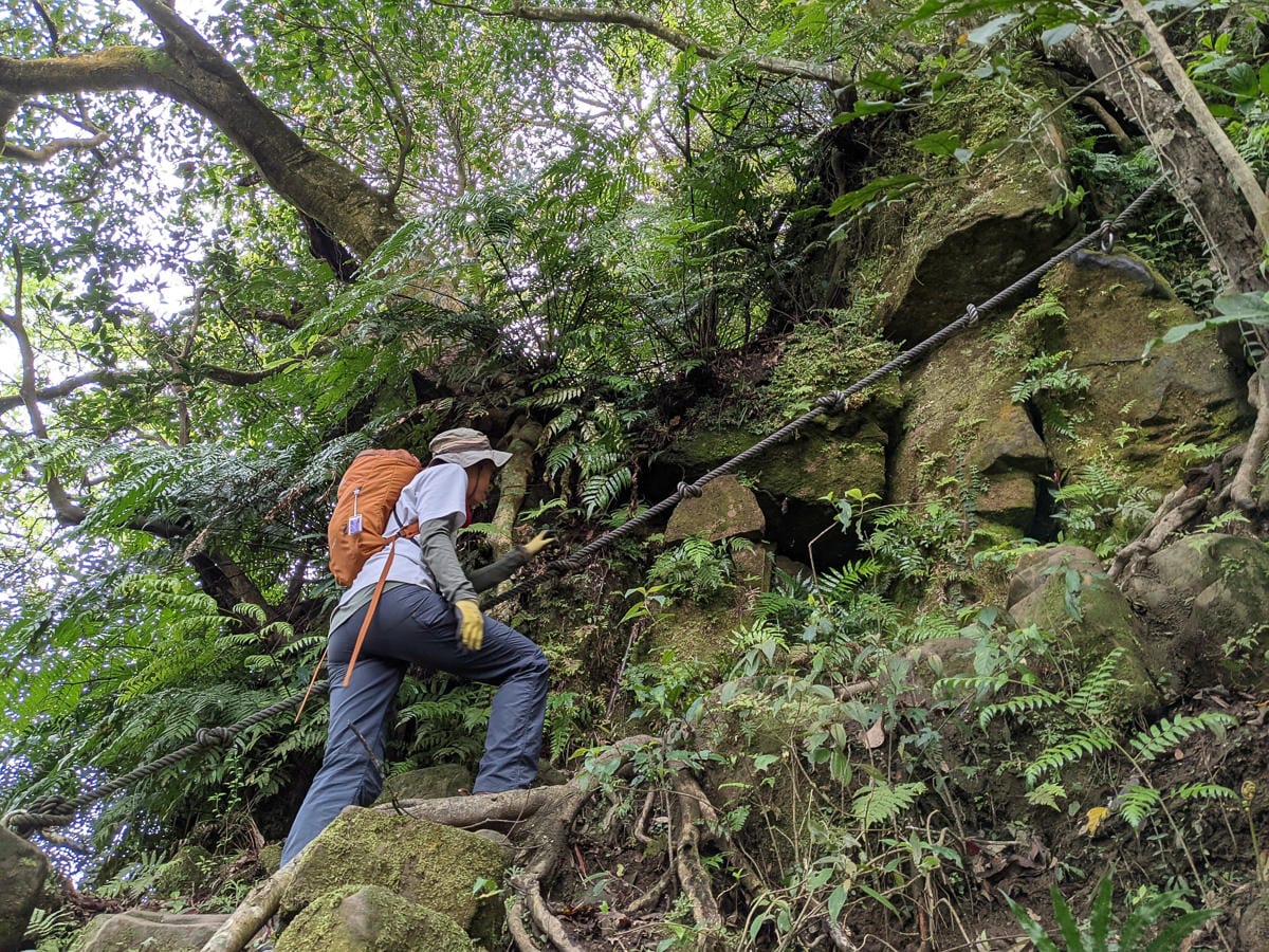 木柵猴山岳登山步道新手可以嗎？拉繩攀爬找雙扇蕨