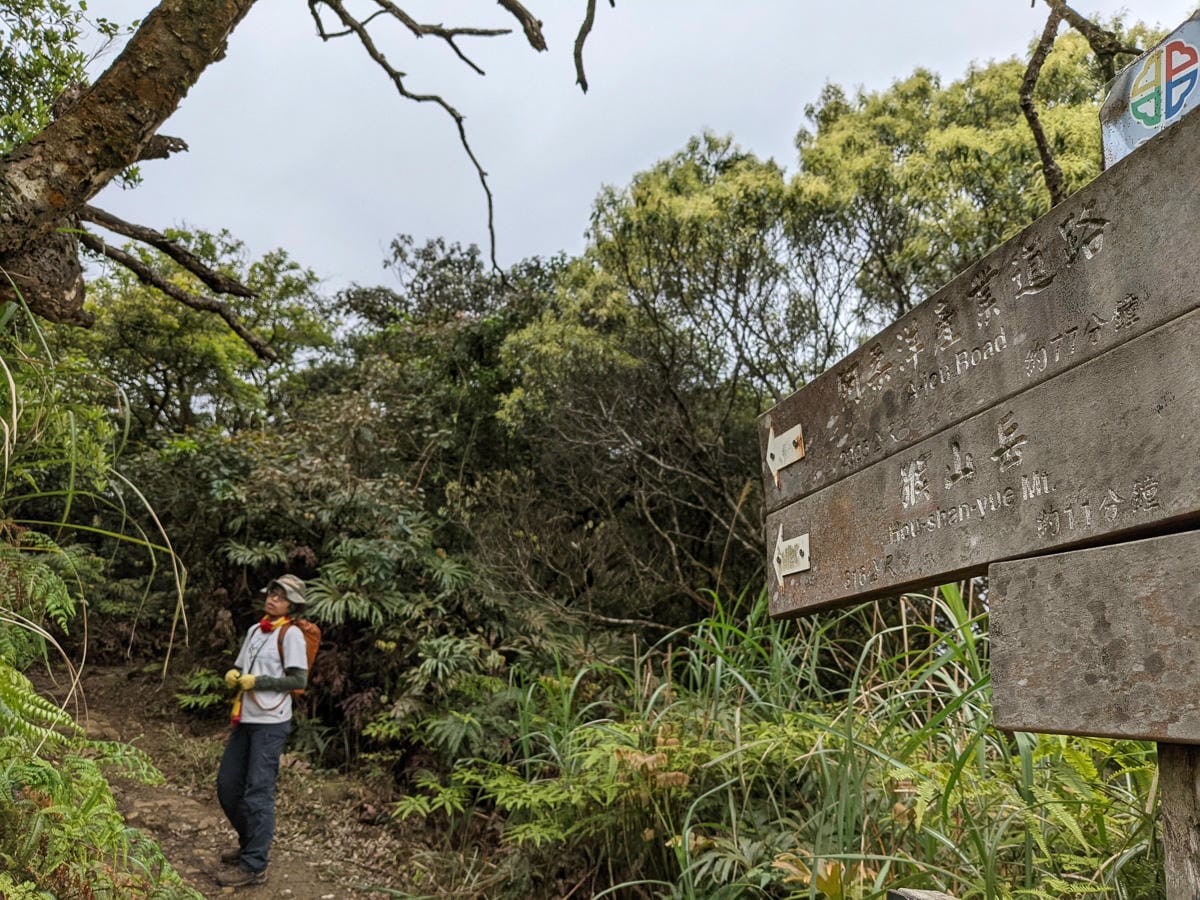 木柵猴山岳登山步道新手可以嗎？拉繩攀爬找雙扇蕨