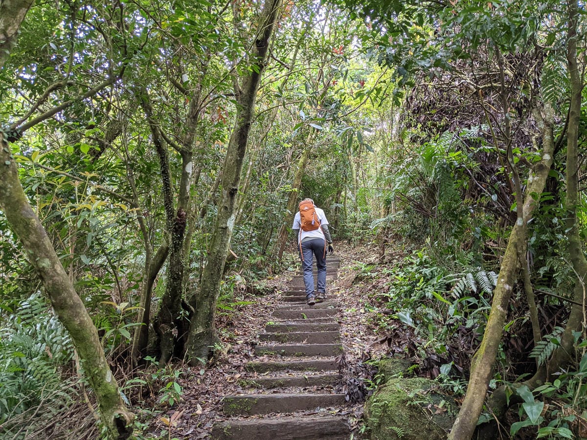 木柵猴山岳登山步道新手可以嗎？拉繩攀爬找雙扇蕨