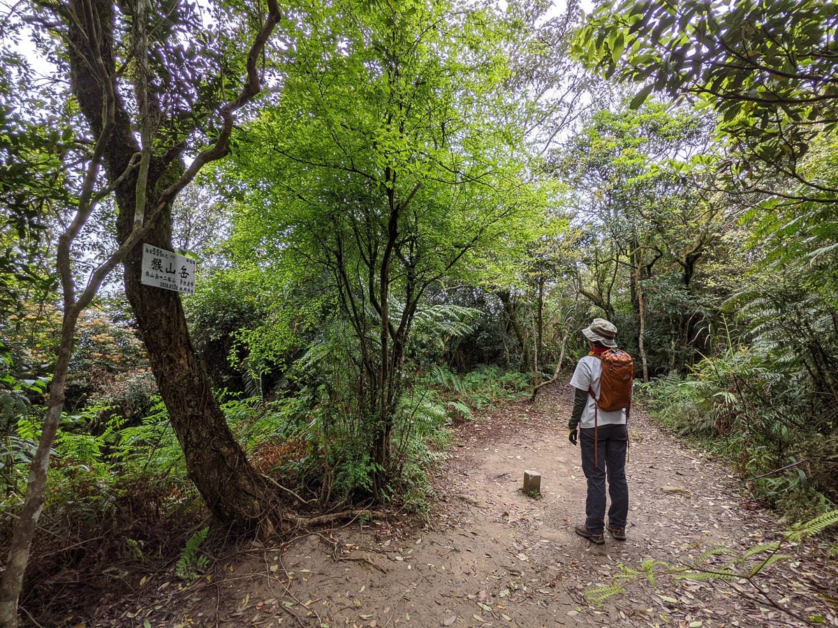 木柵猴山岳登山步道新手可以嗎？拉繩攀爬找雙扇蕨